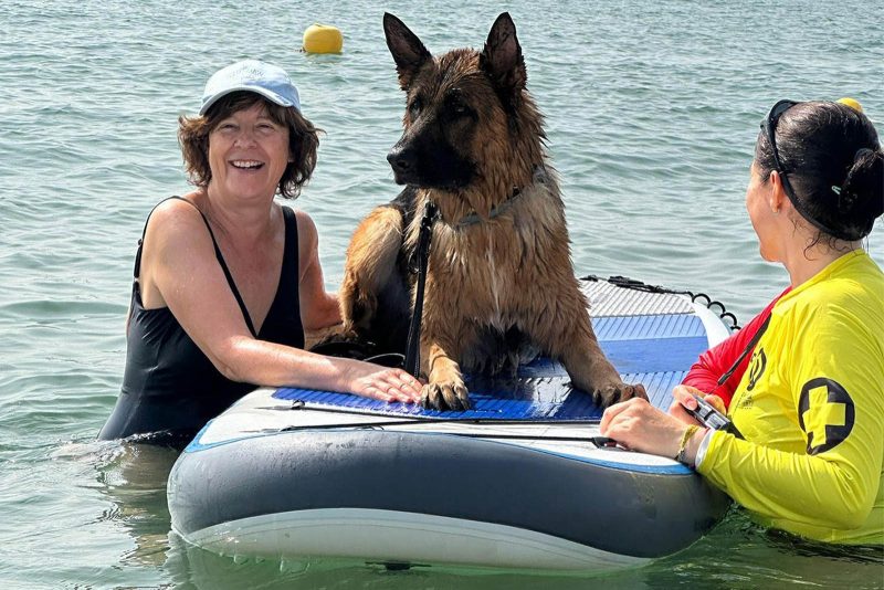 Taller de Paddle Surf SUP Canino